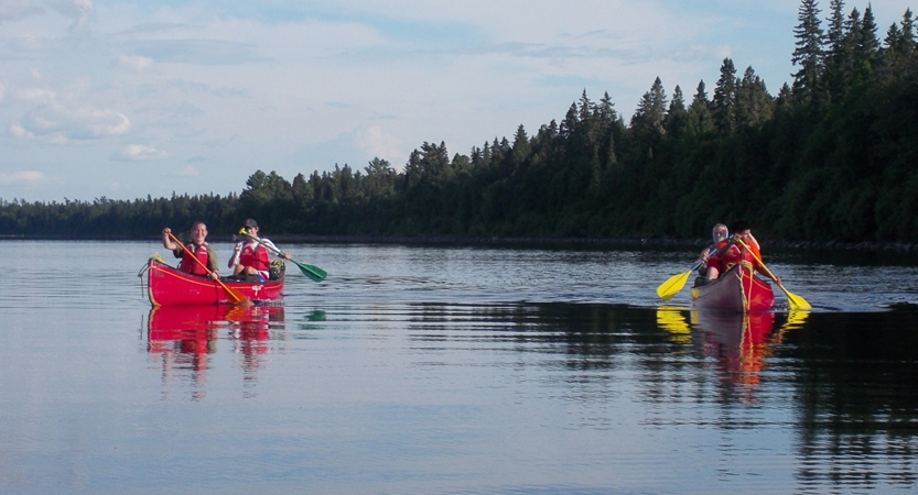 two red canoes are paddled on calm water near a tree-lined shore